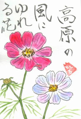 花と絵手紙の日記